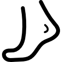 Foot illustration
